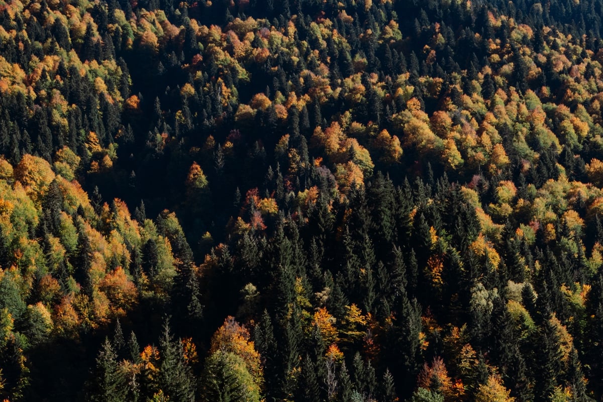 End of the World — Ushguli, Georgia — frame
